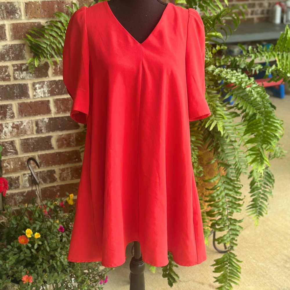 Love Riche Scarlet Mini Dress
